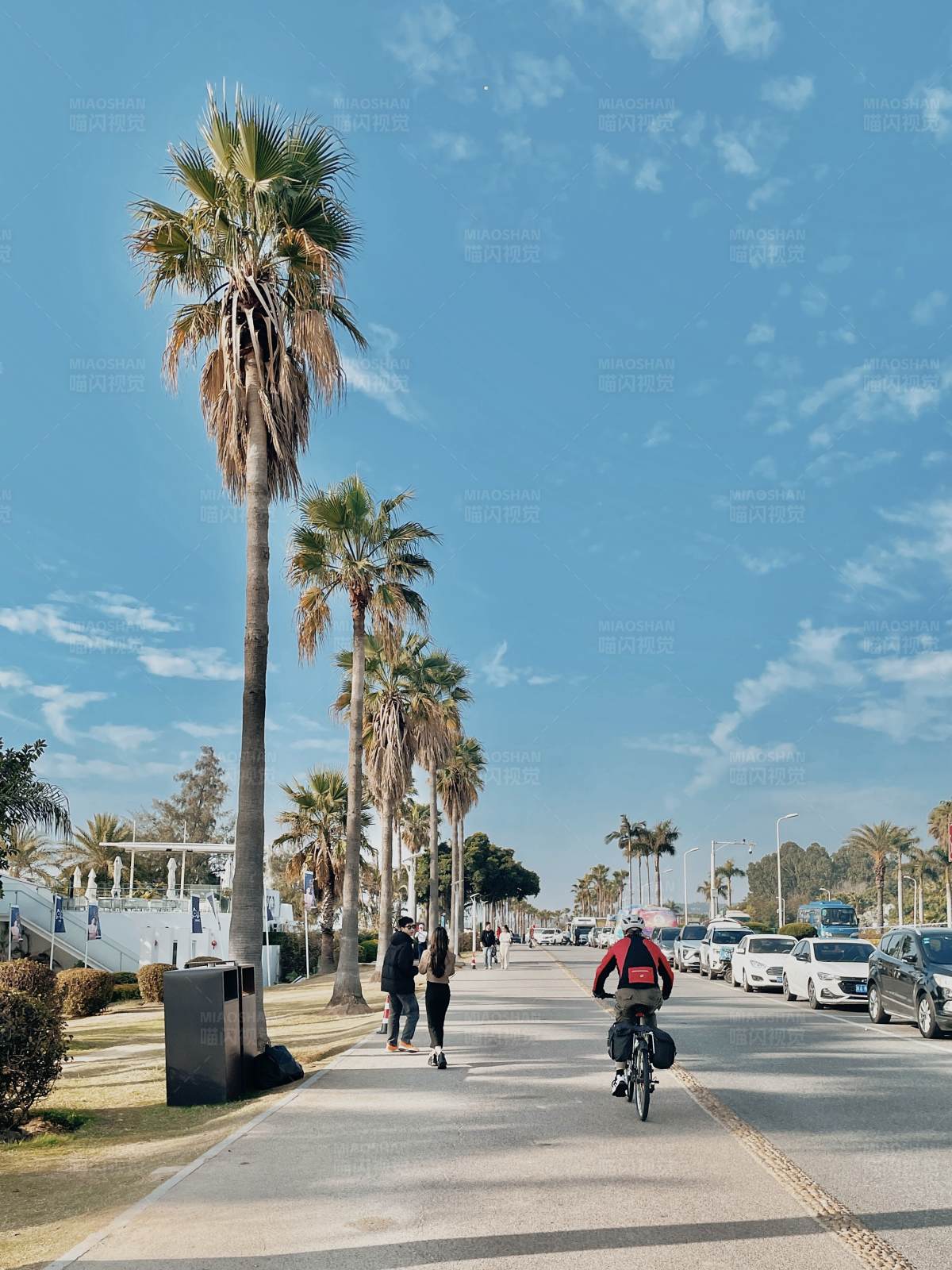 厦门海滨大道图片