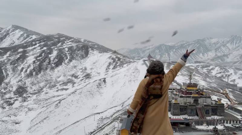 雪山之巅的自由飞翔图片
