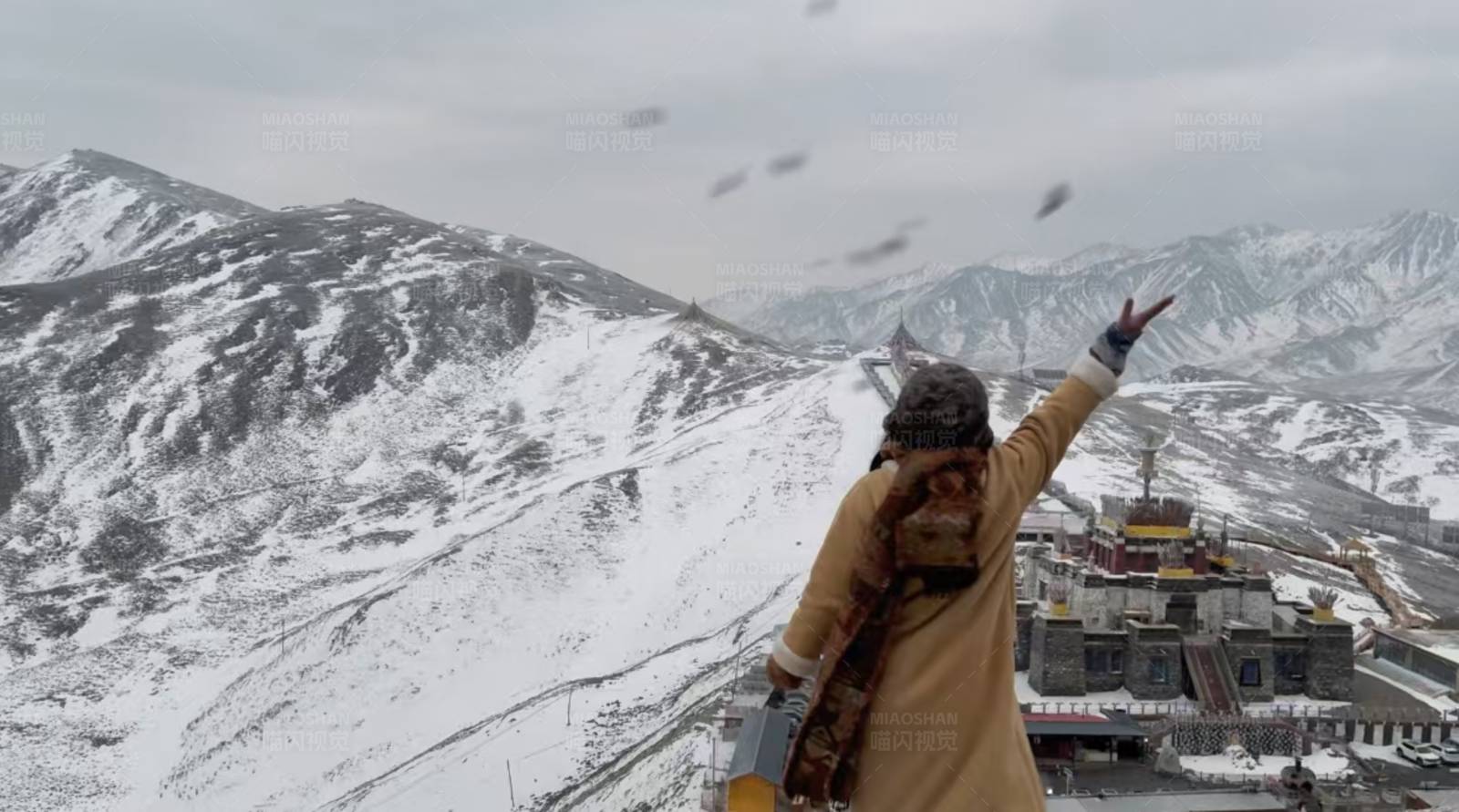 雪山之巅的自由飞翔图片