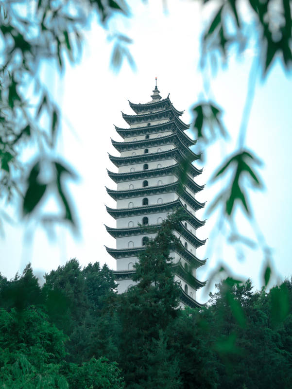 古塔隐于绿树间图片