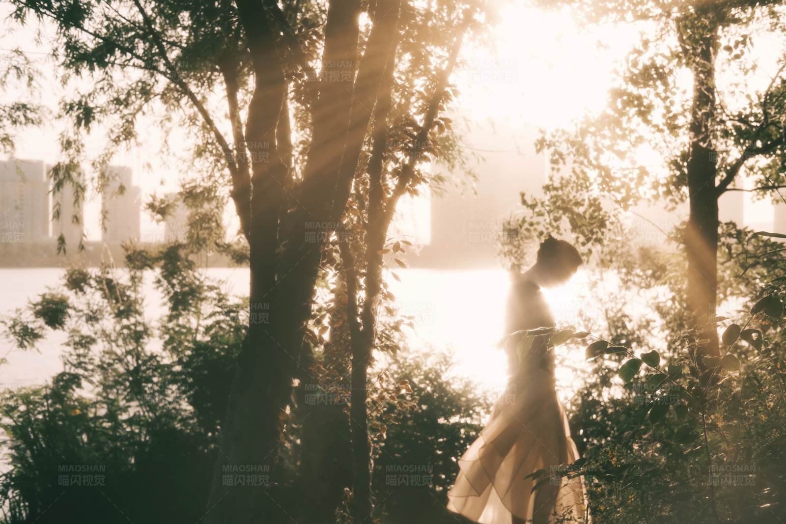夕阳下的漫步图片