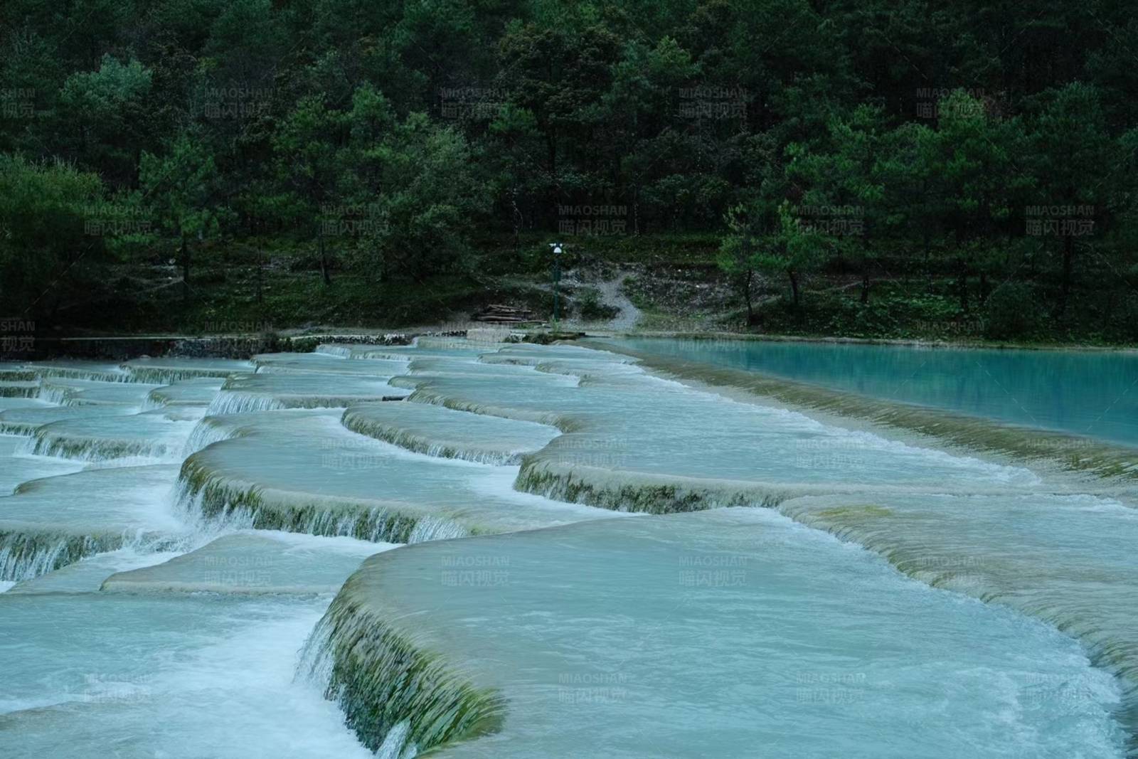 森林中的蓝色梯田图片