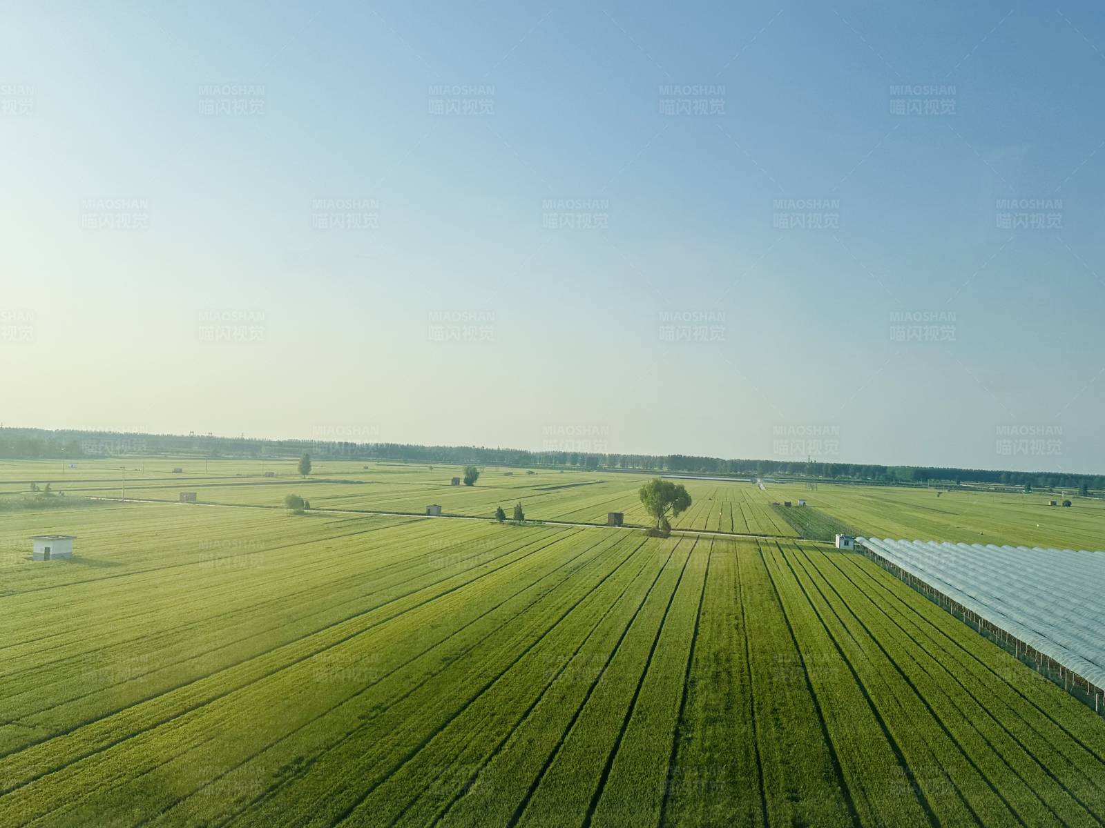 绿色田野与温室图片