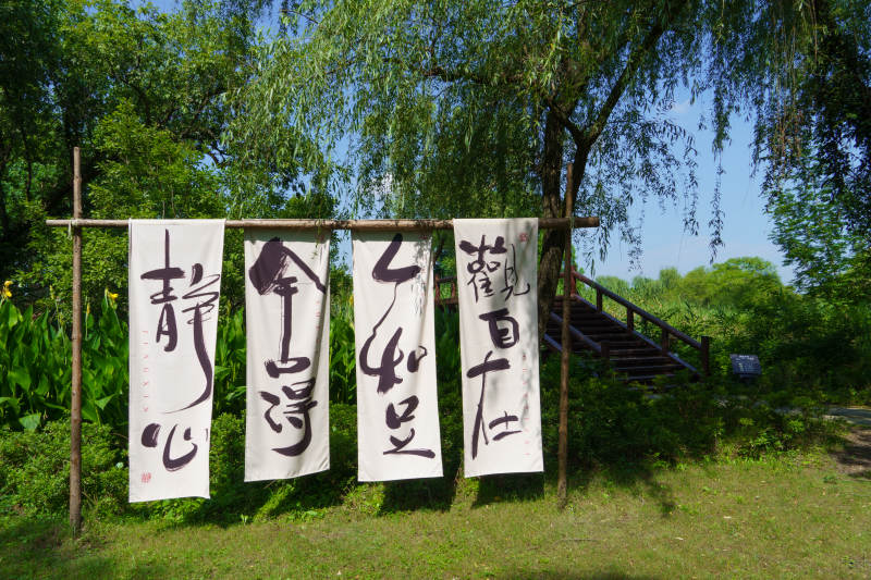 书法条幅展示图片