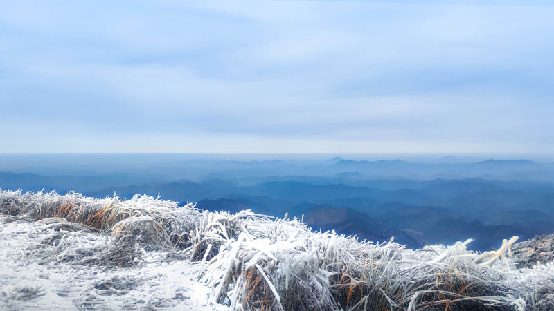 冰封山巅 雪覆草木图片