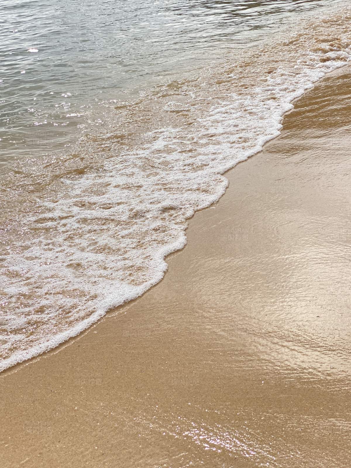 沙滩与海浪的交汇图片