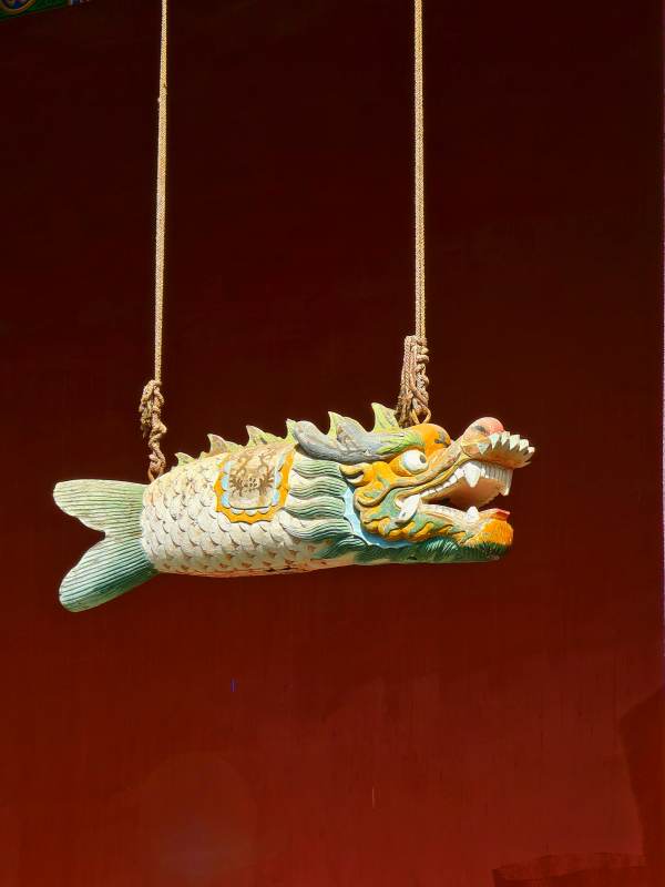 悬挂的龙鱼装饰品图片