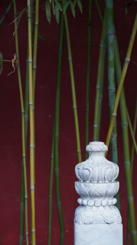 竹林前的石雕图片