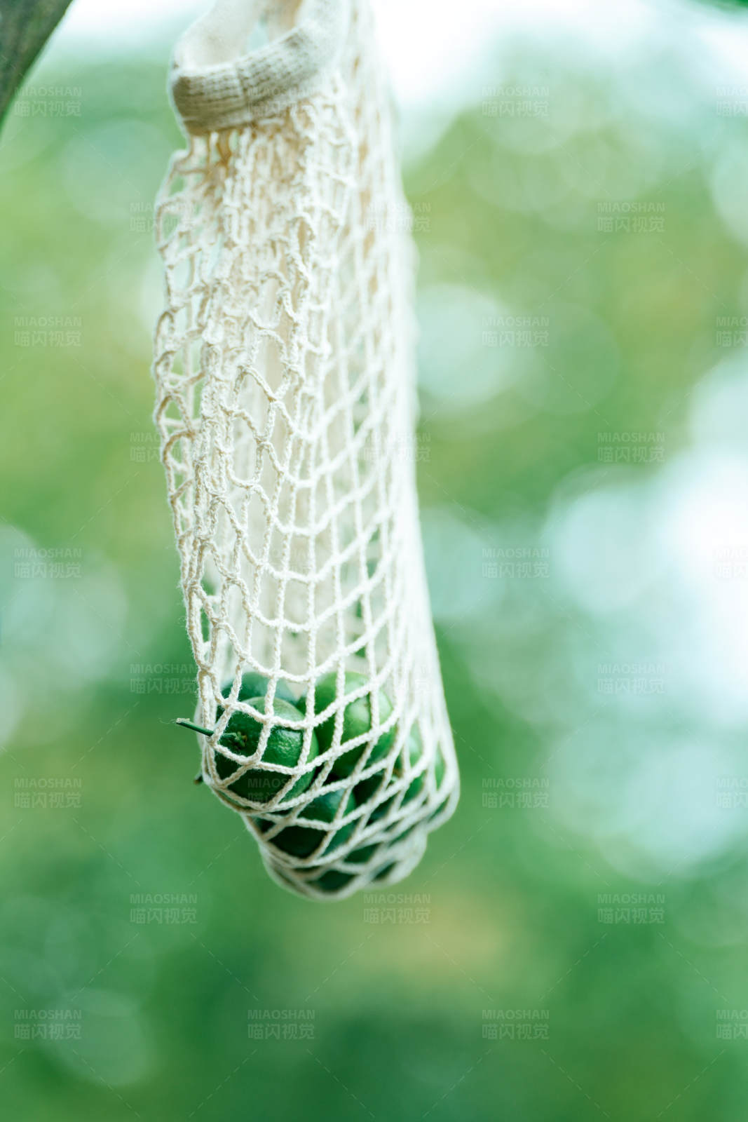 网袋中的绿色水果图片