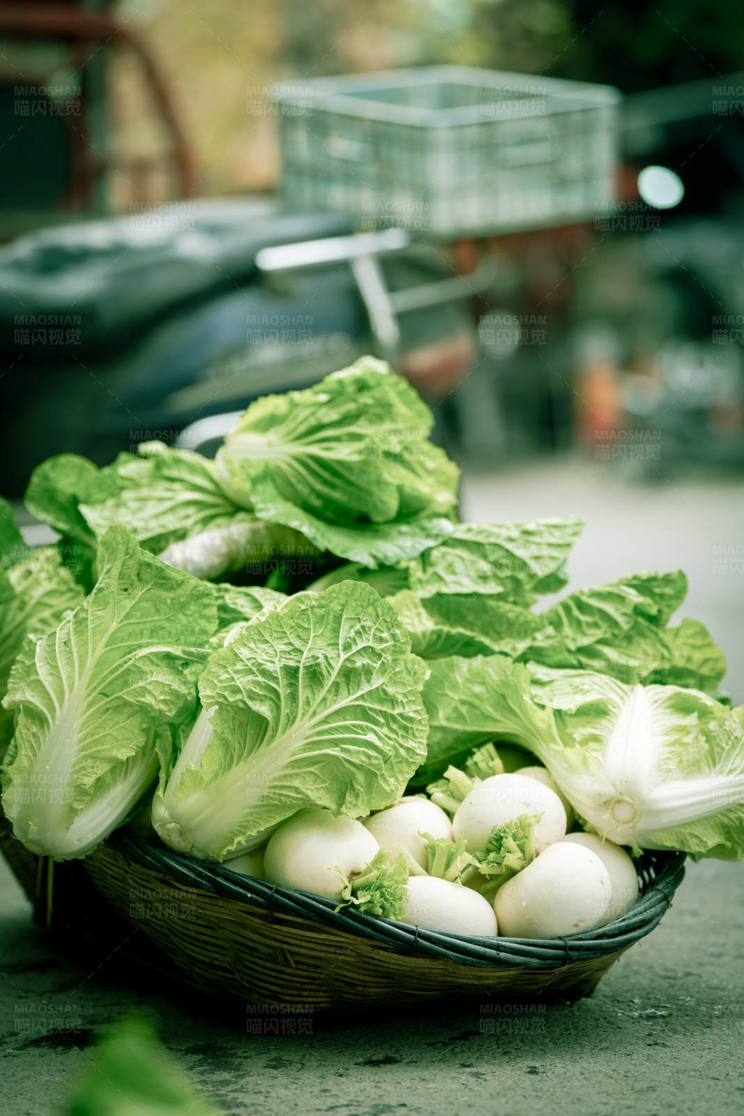 新鲜蔬菜篮图片