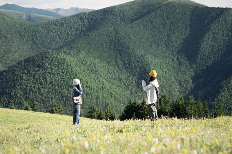 山间花海拍照图片
