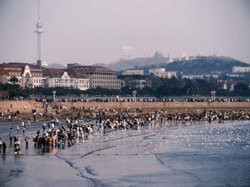 海滨城市人群聚集图片