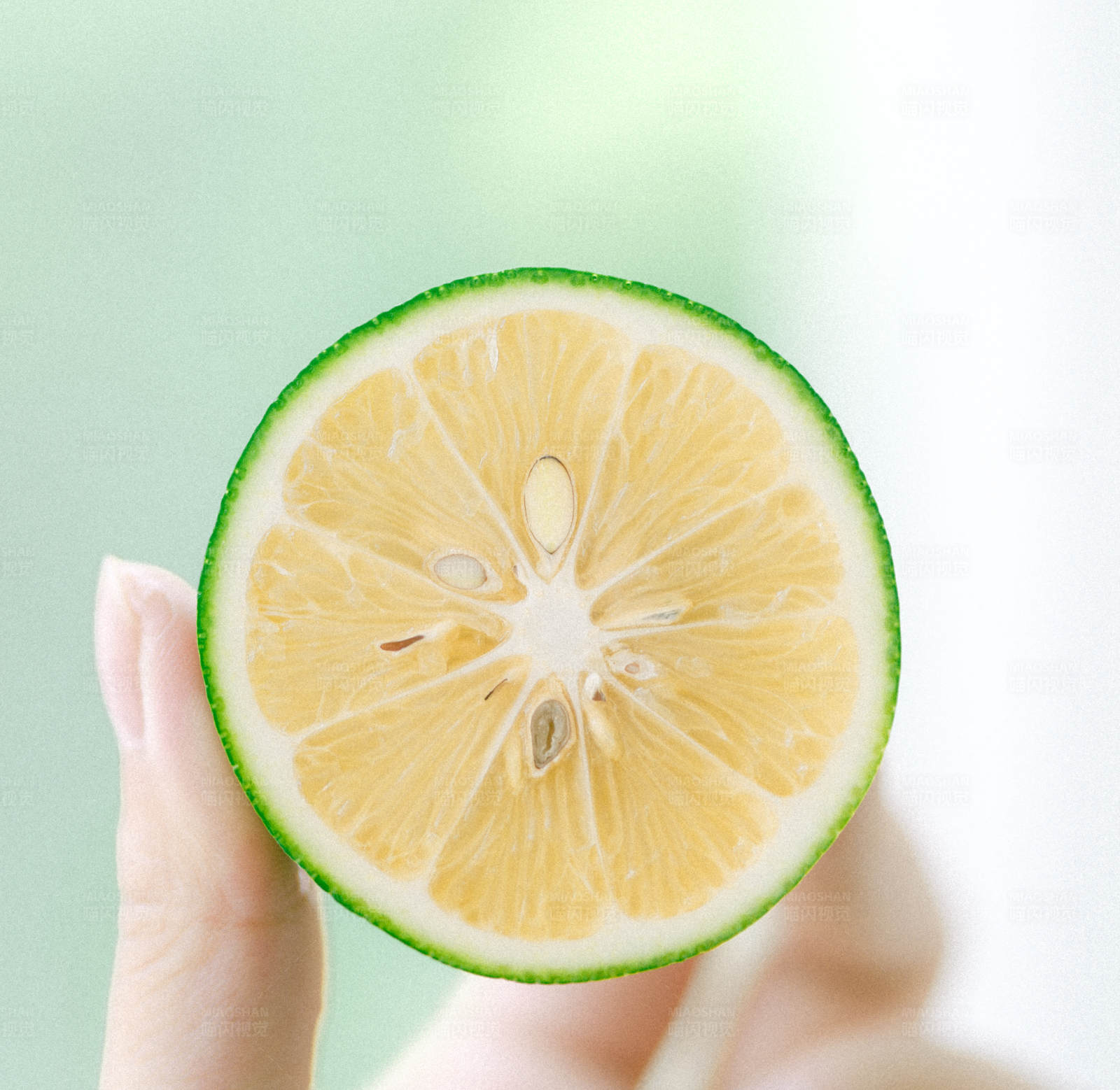 青柠片的清新瞬间图片