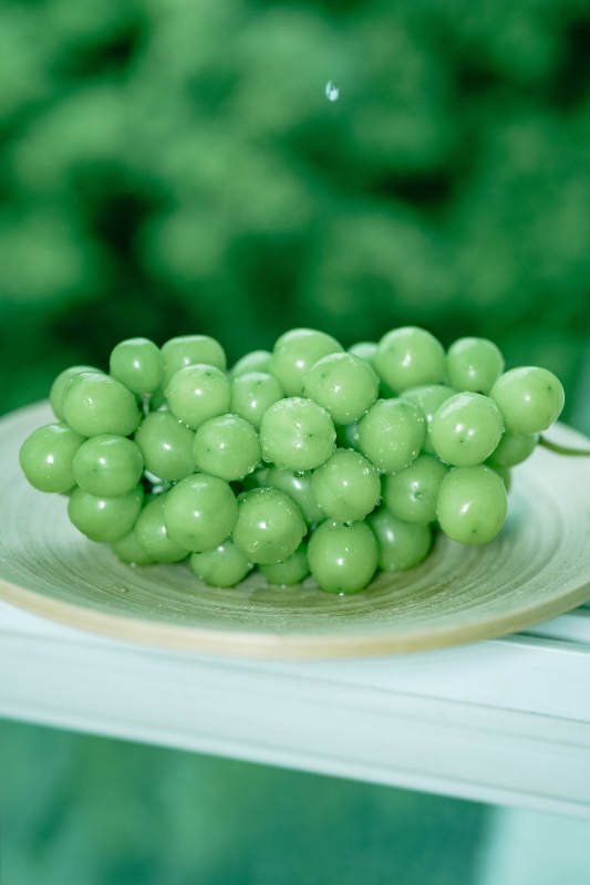 青提子盘中鲜图片