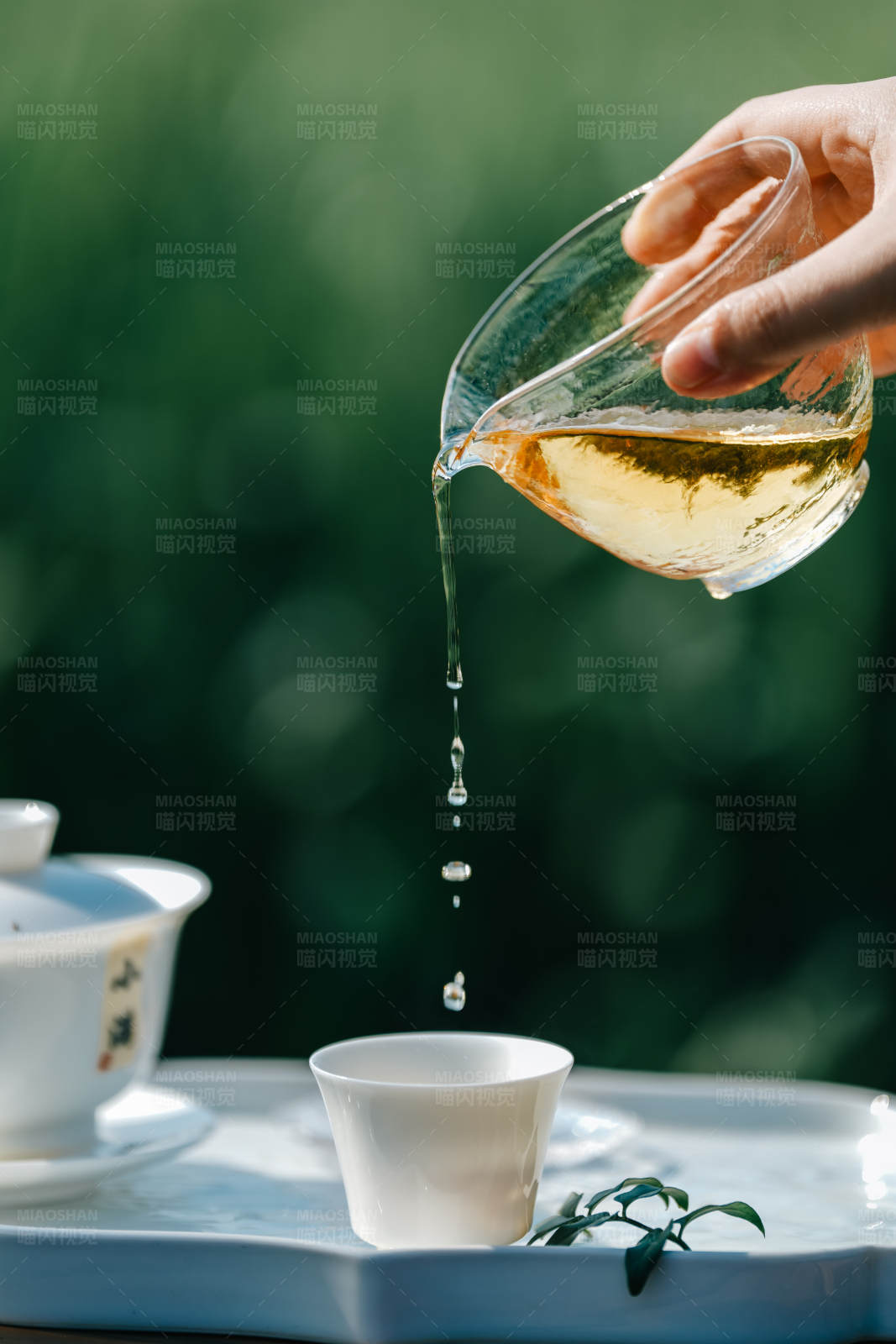 户外品茶时刻图片