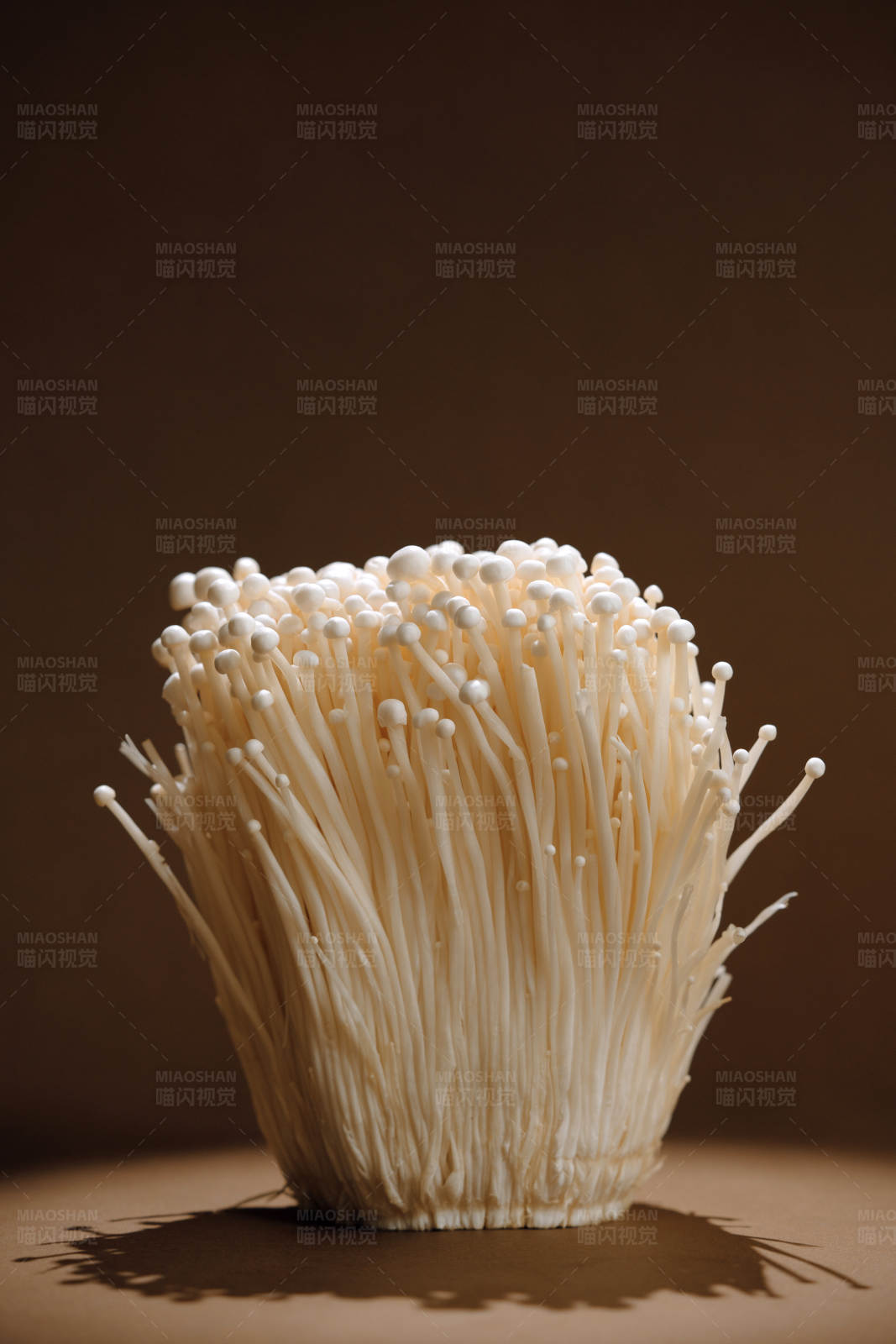 金针菇的特写镜头图片