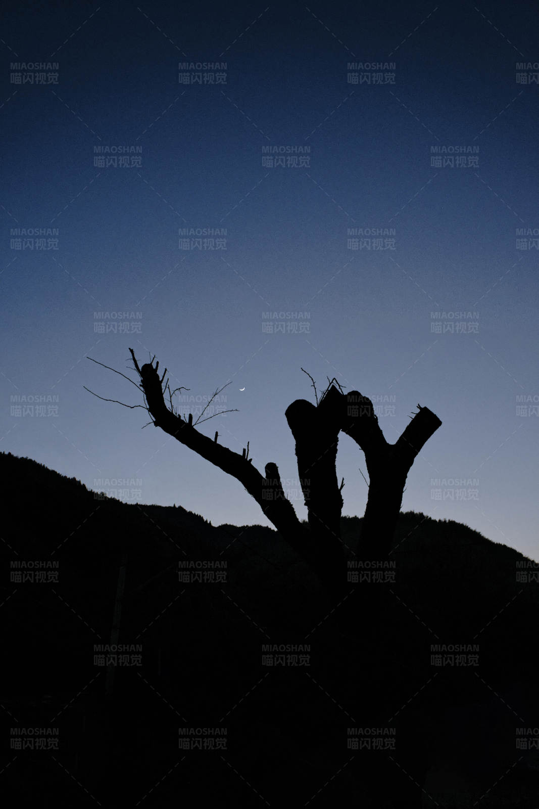 暮色中的剪影图片