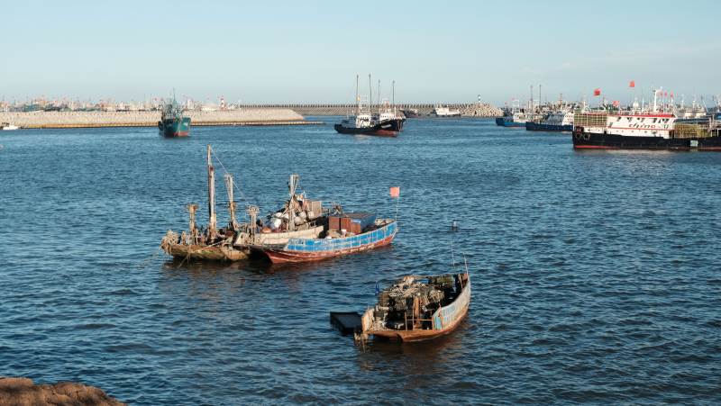 港口的船只图片