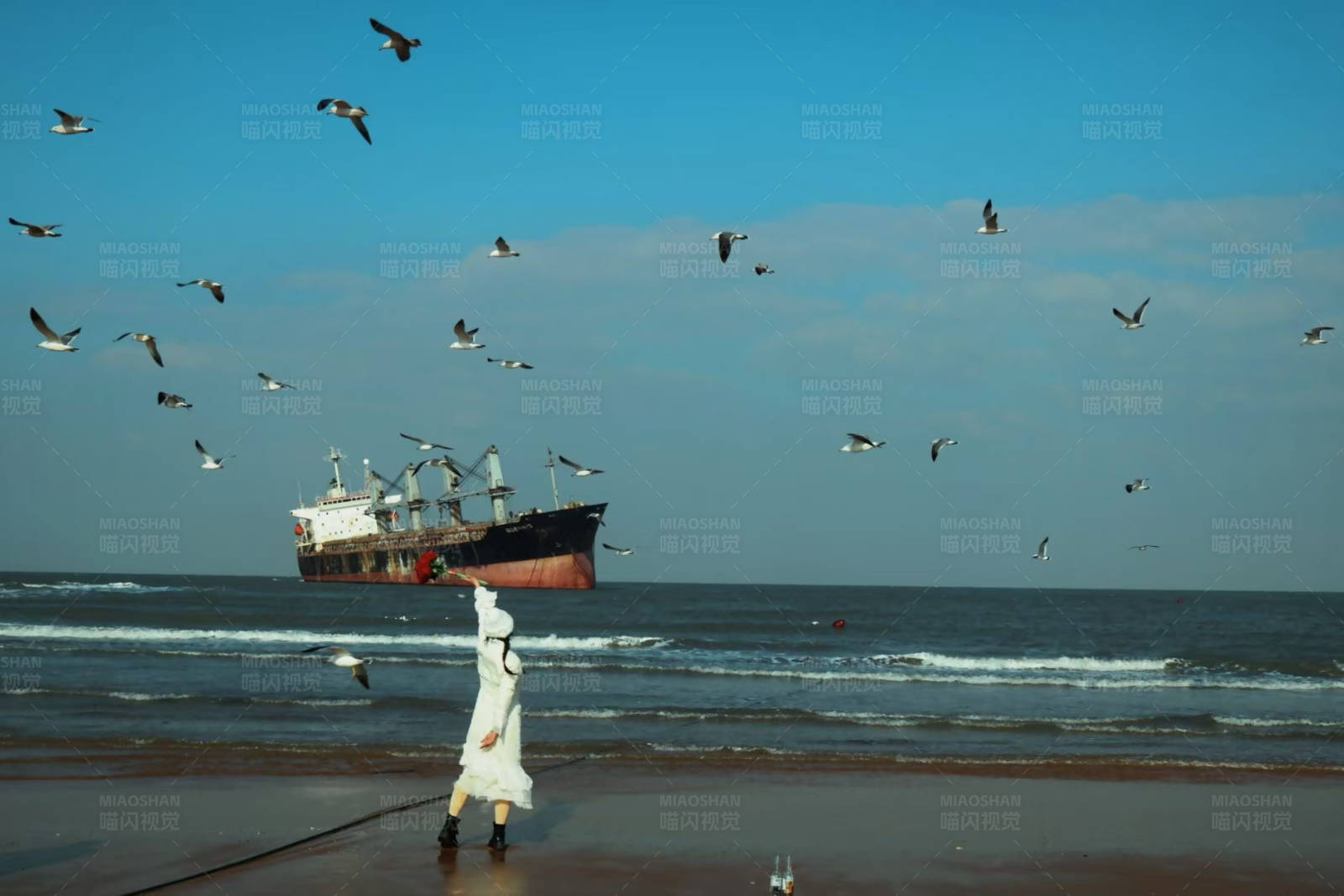 海滩上的自由飞翔图片