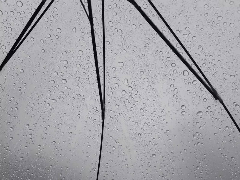 雨滴落在透明伞上图片