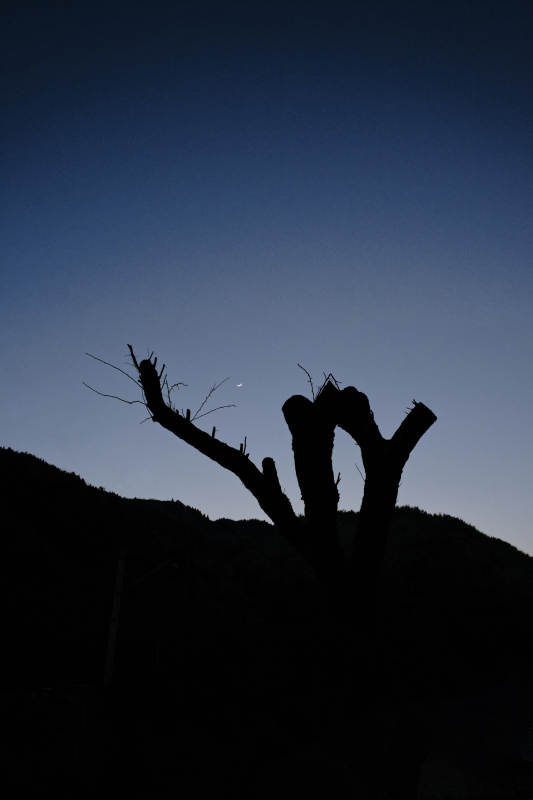 暮色中的剪影图片