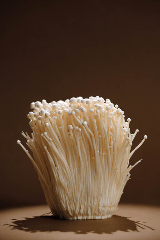 金针菇的特写镜头图片