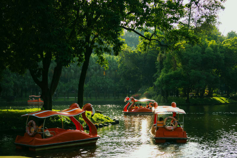 公园湖上的火烈鸟游船图片