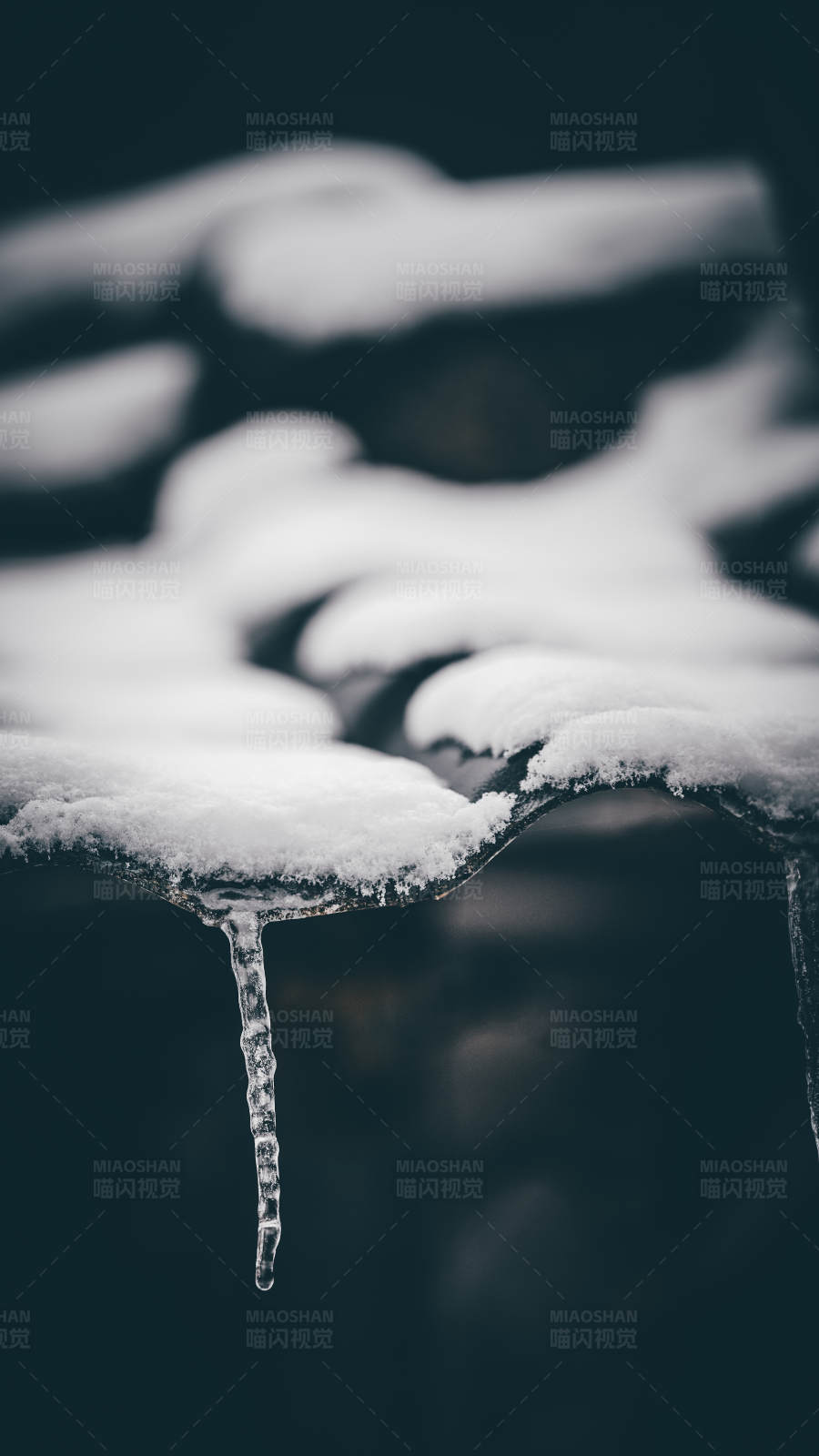 冬日冰凌图片