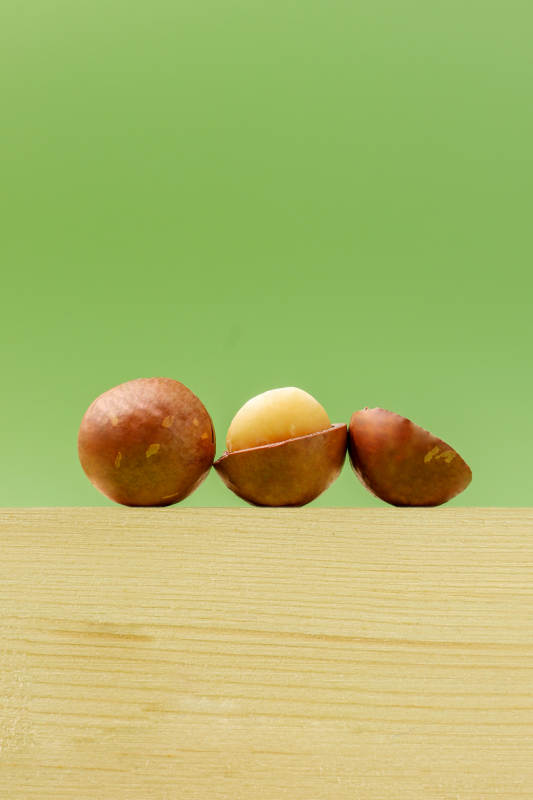 坚果三兄弟图片