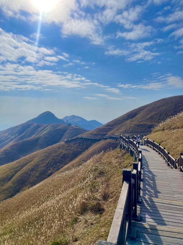 山间木栈道 阳光明媚图片