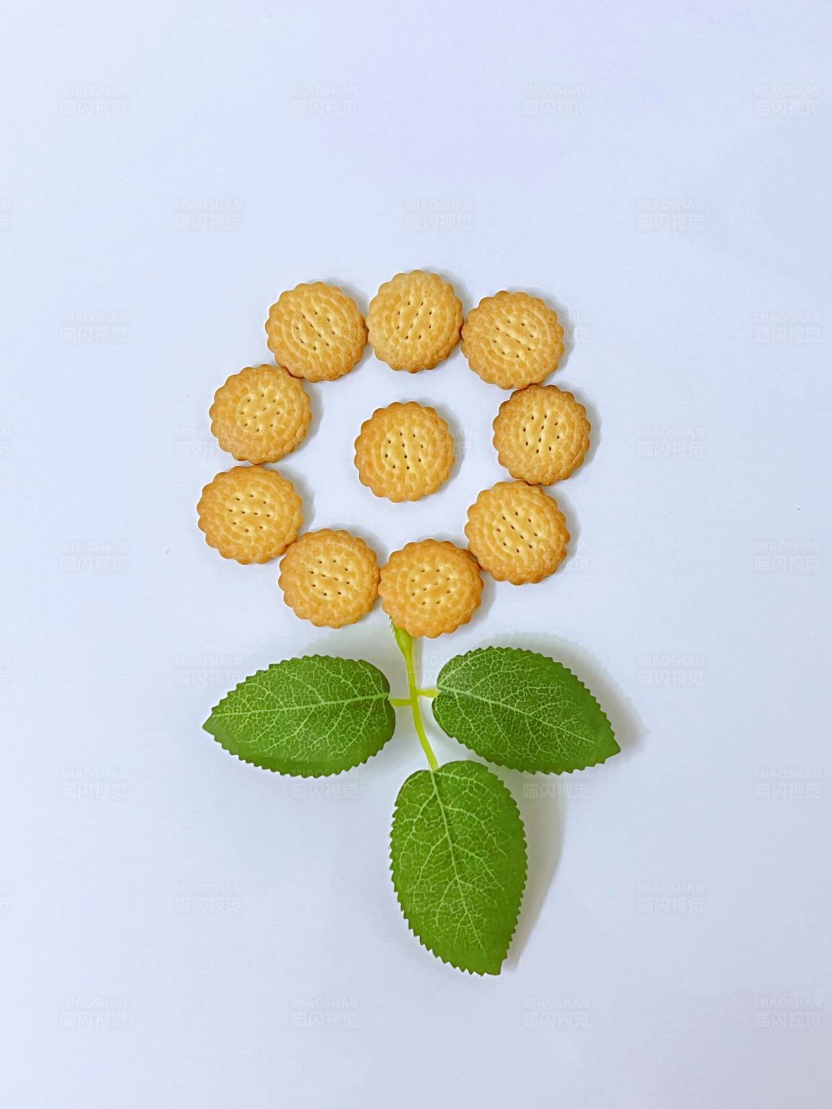 饼干花图片