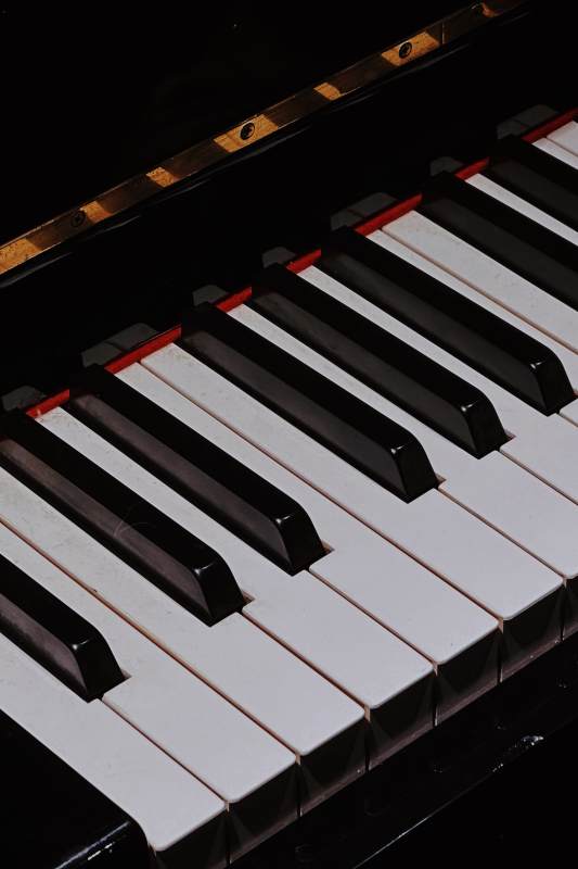 钢琴键盘的黑白键图片