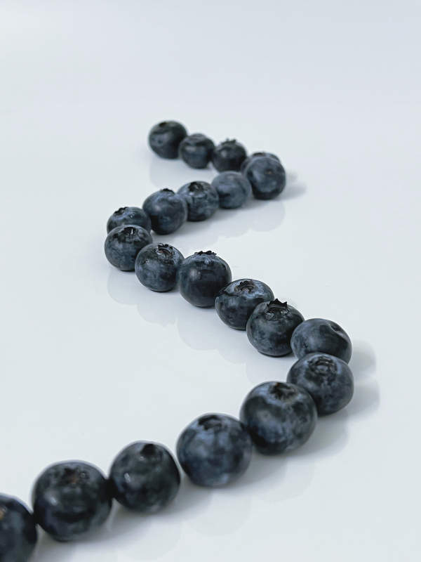 蓝莓排列成S形图片