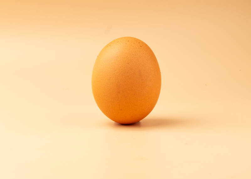 单颗鸡蛋图片