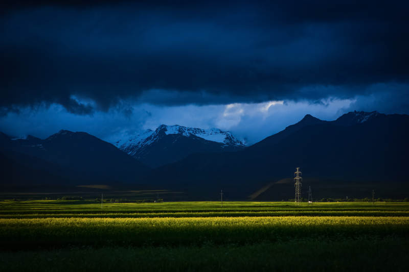 雪山前的油菜花田图片