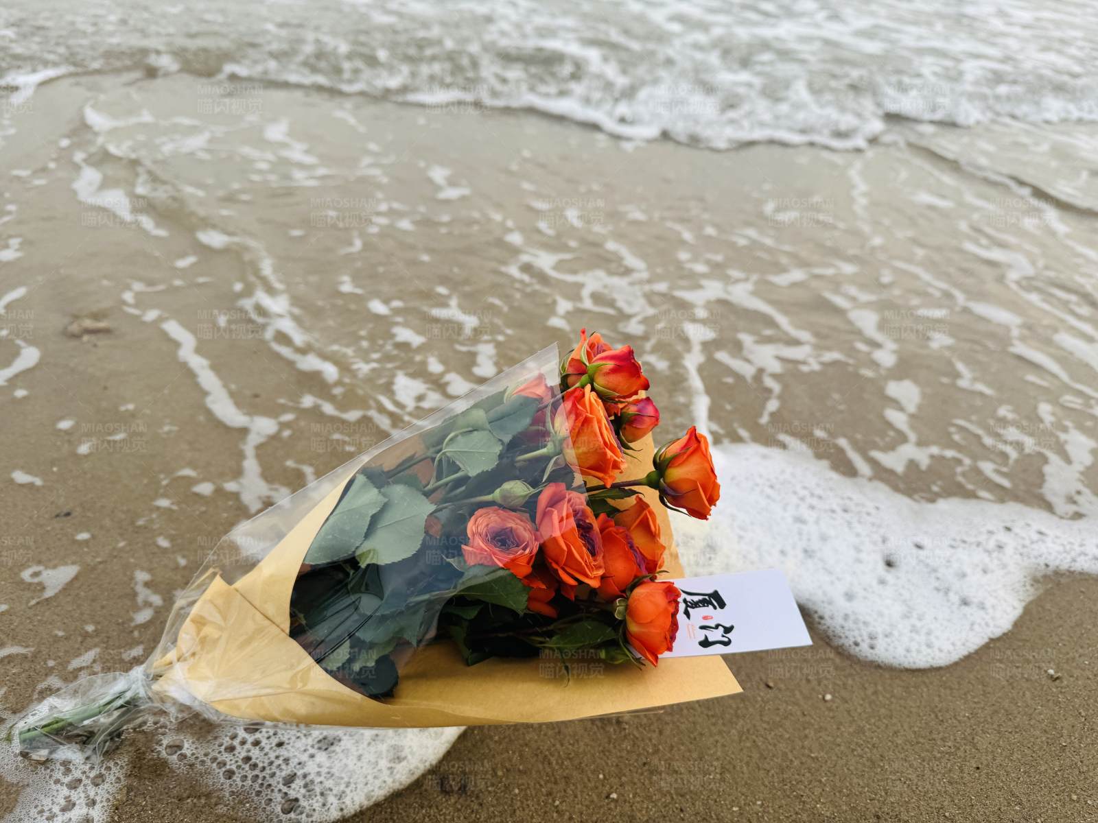 海边的玫瑰花束图片