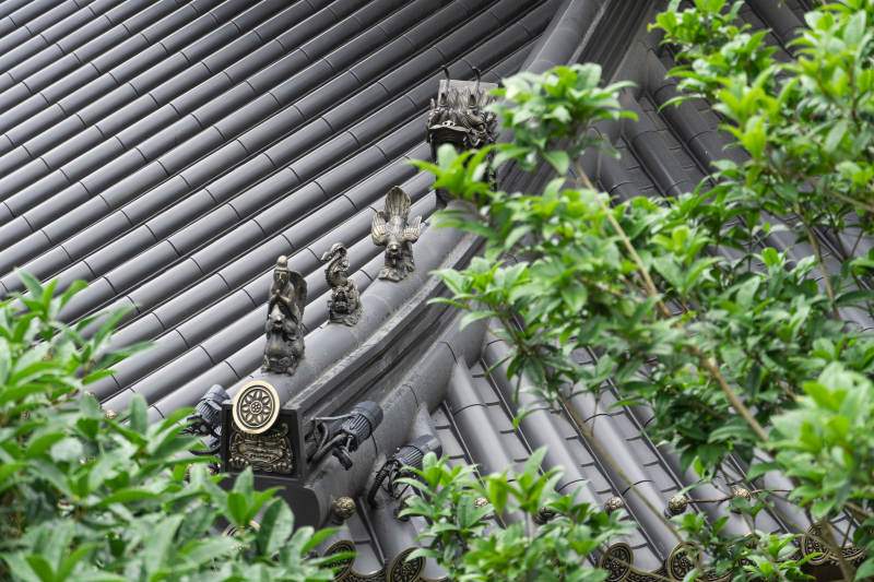 古寺屋顶与绿叶图片