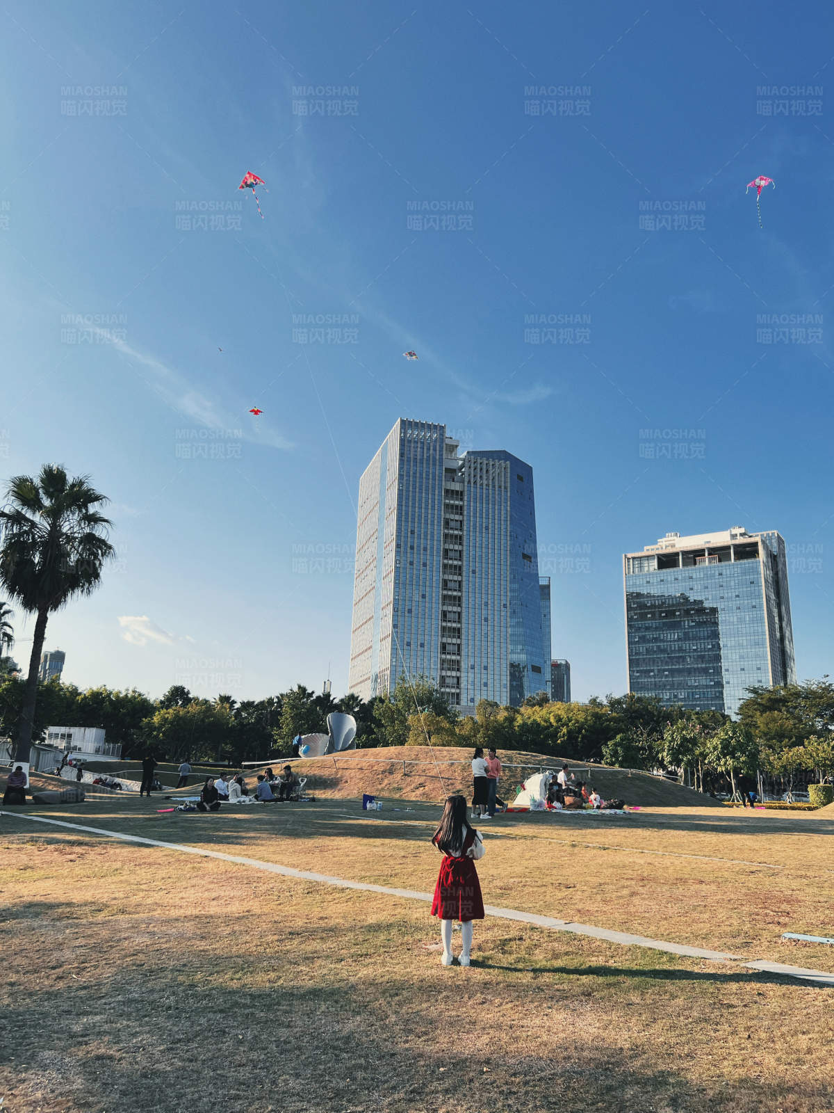 城市公园放风筝图片