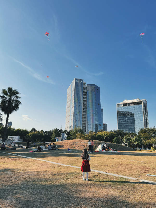 城市公园放风筝图片