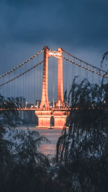 夜幕下的桥梁图片