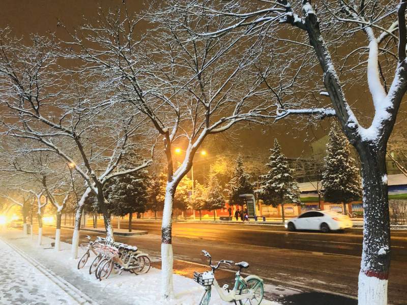 冬夜雪景 街灯温暖图片