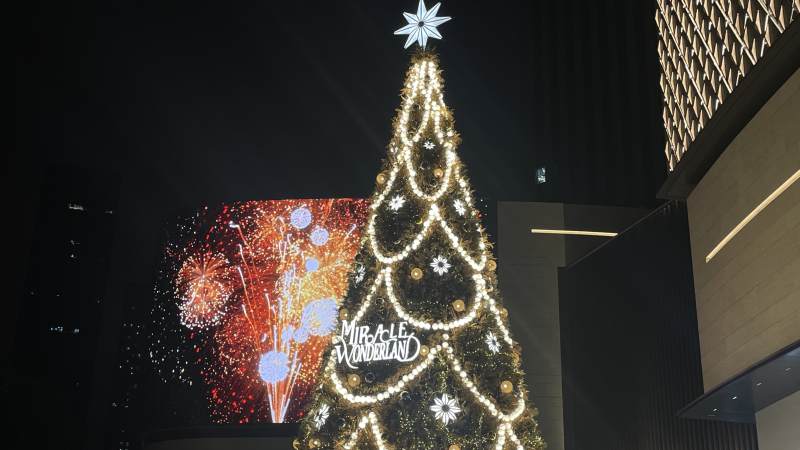 璀璨圣诞树与烟花共舞图片