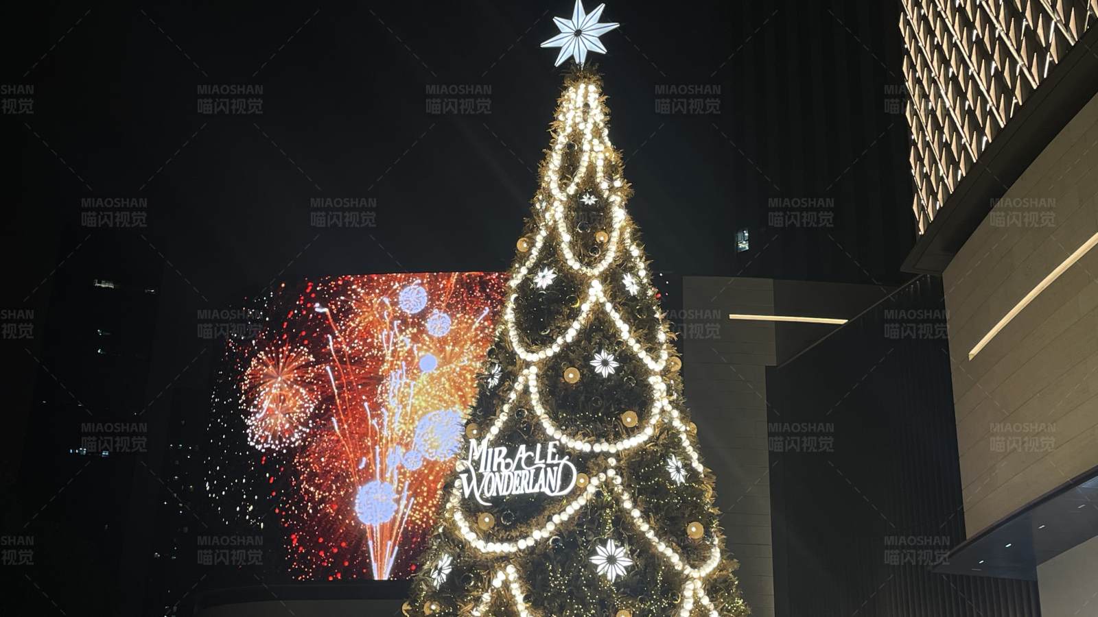 璀璨圣诞树与烟花共舞图片