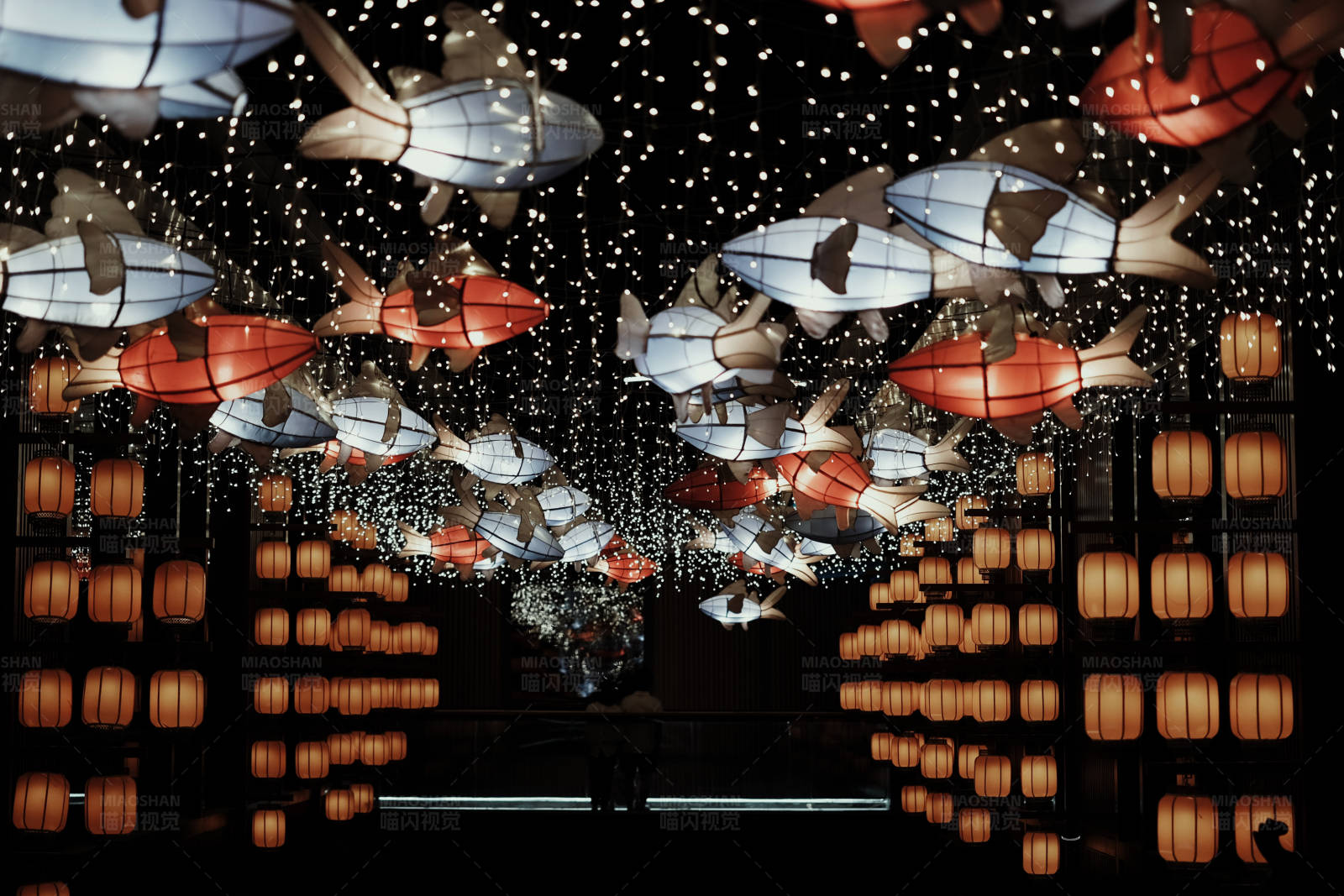 灯笼鱼群夜空游图片