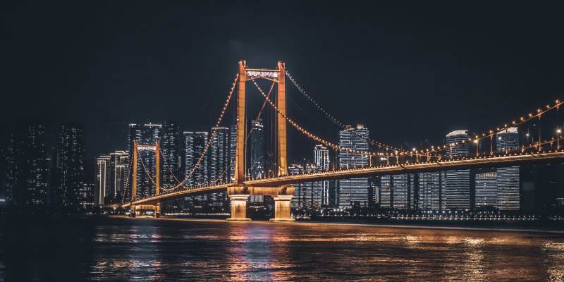 武汉鹦鹉洲大桥图片