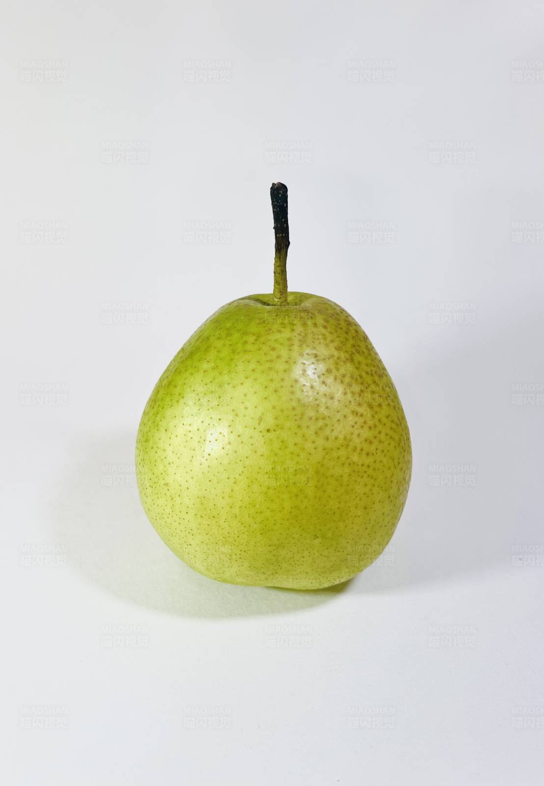 青梨静物图图片