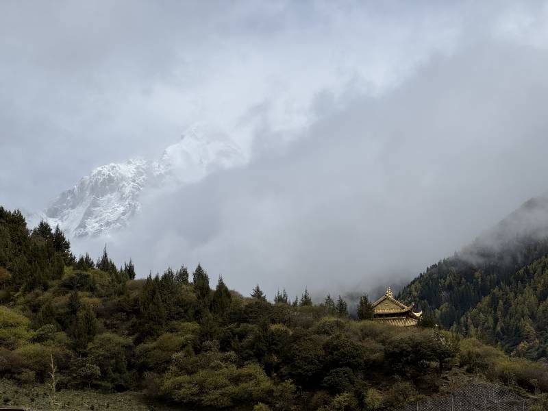 山间云雾中的寺庙图片