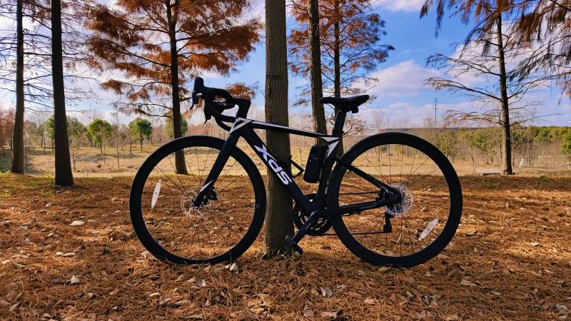 森林中的黑色自行车图片