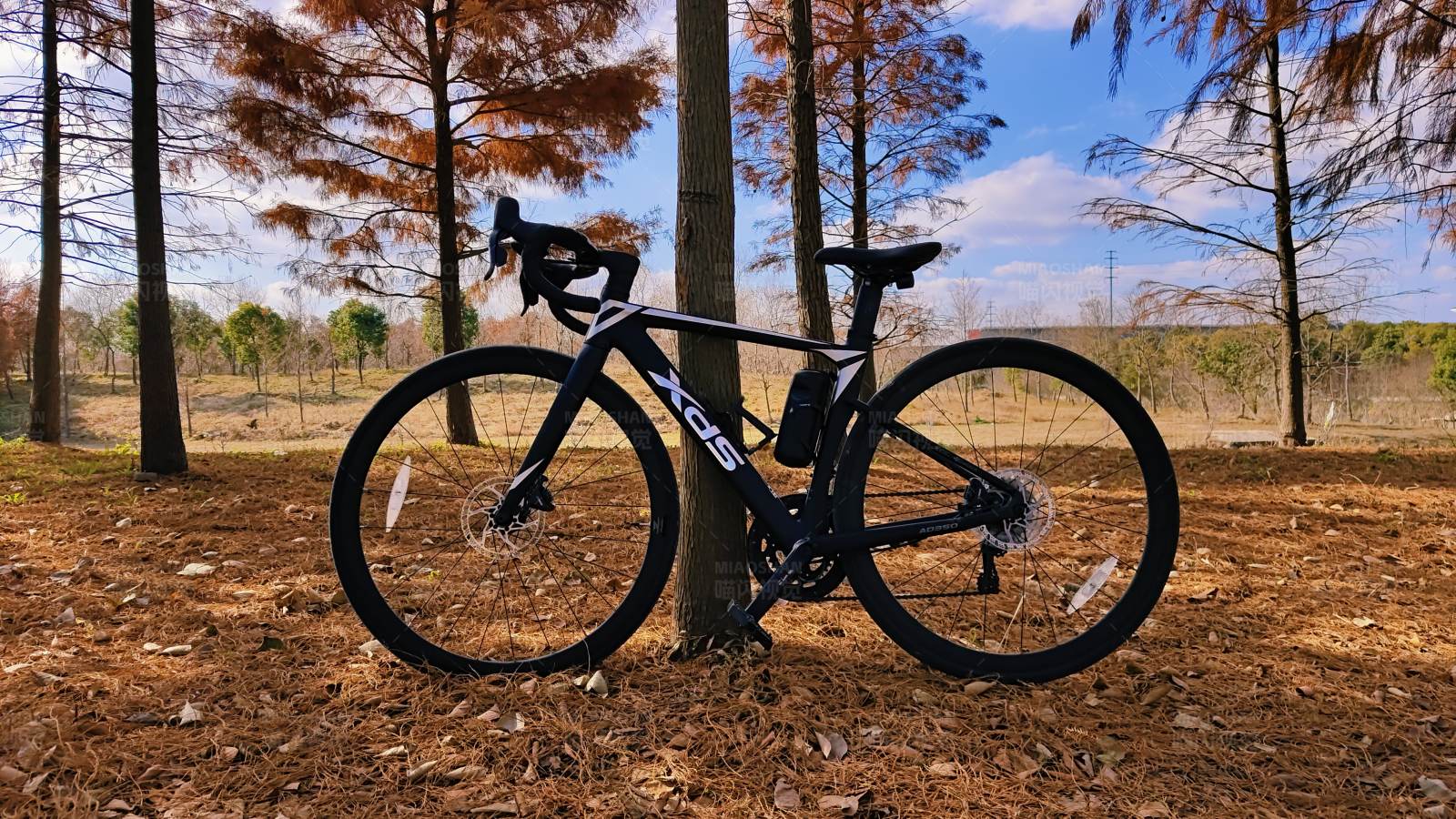 森林中的黑色自行车图片