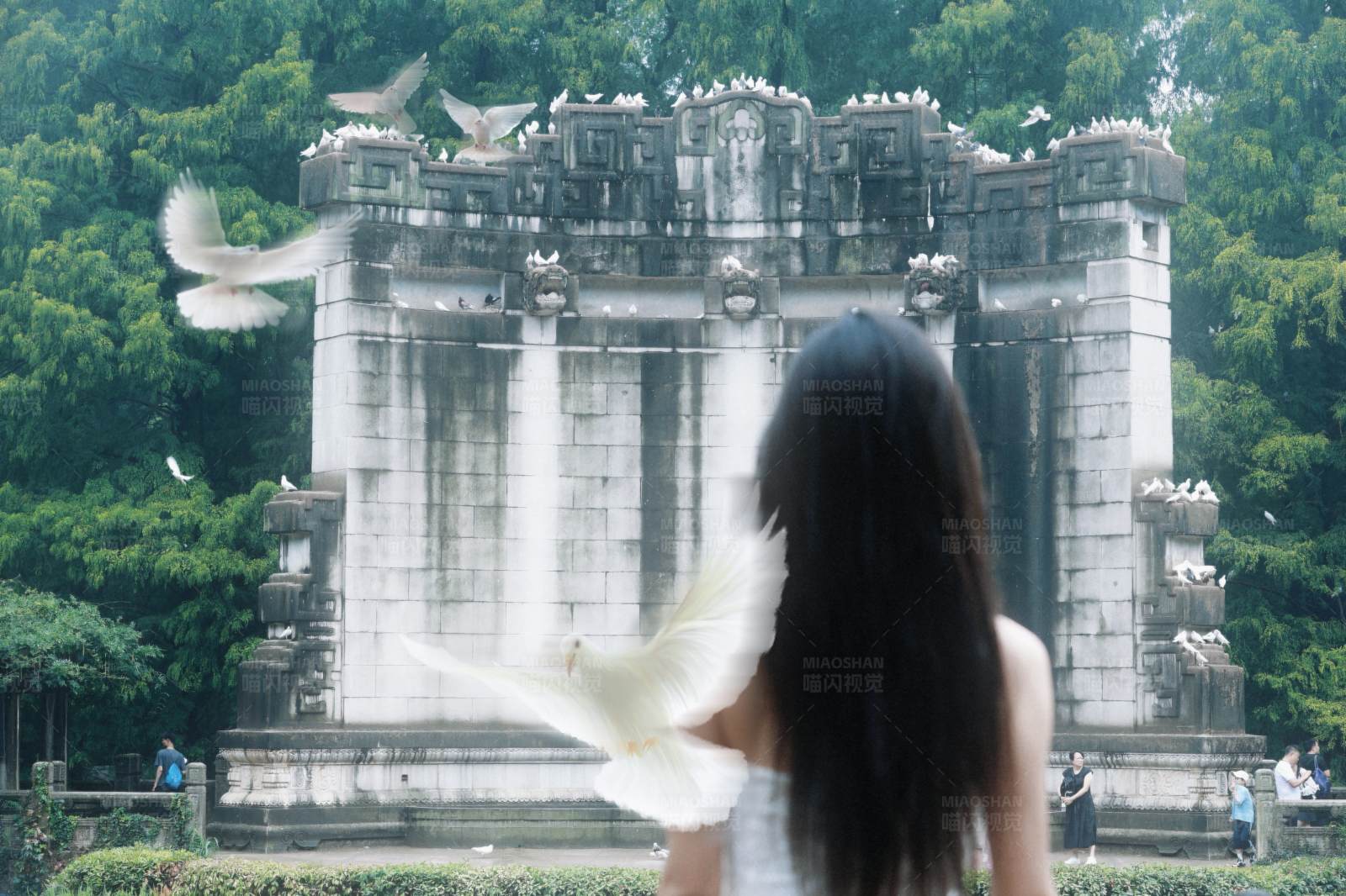 白鸽与古塔图片